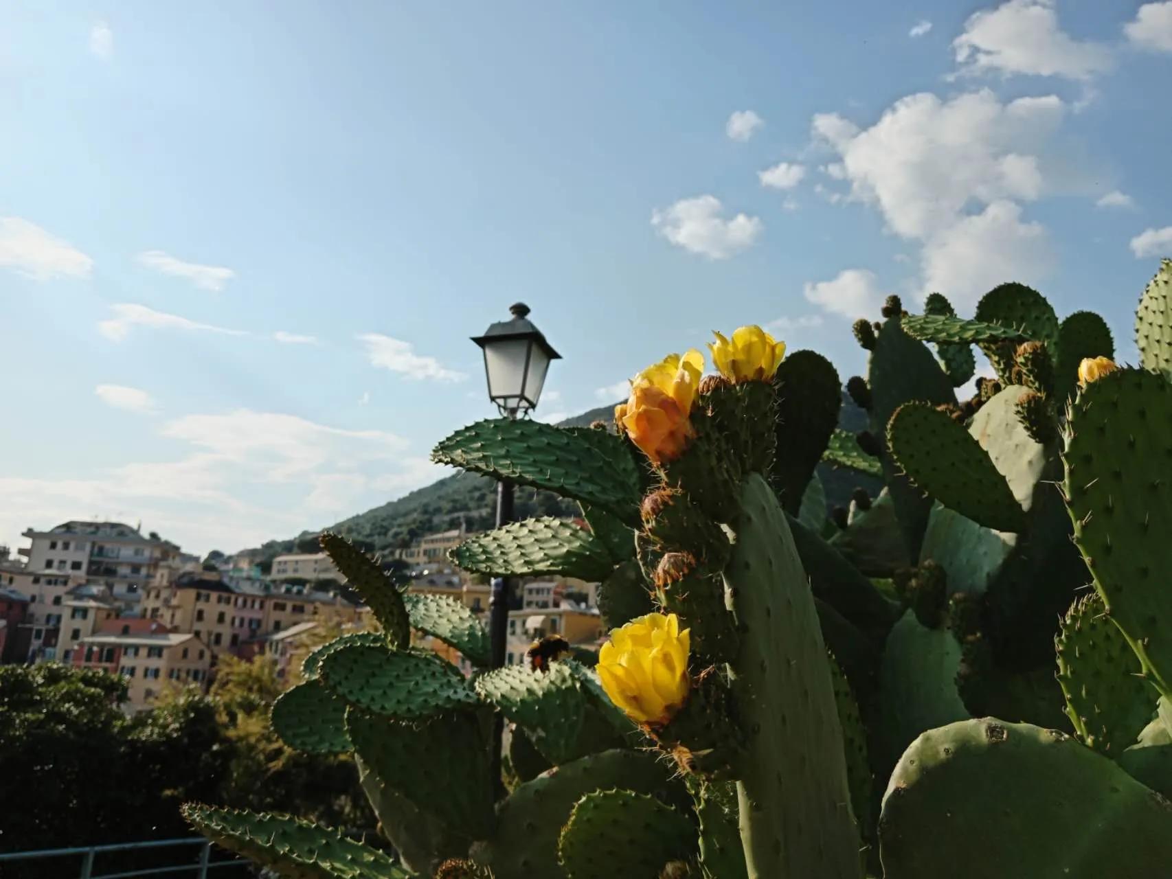 当过10年教师转行退休享受啥政策,88年当教师现在辞职还有什么待遇