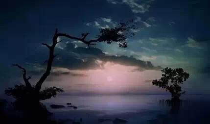 寻人不遇的经典诗句,寻隐者不遇经典诗句