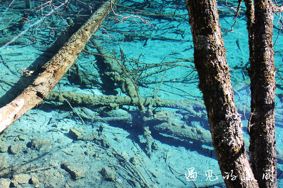 如果一生只去一个古城,一生去一次九寨沟