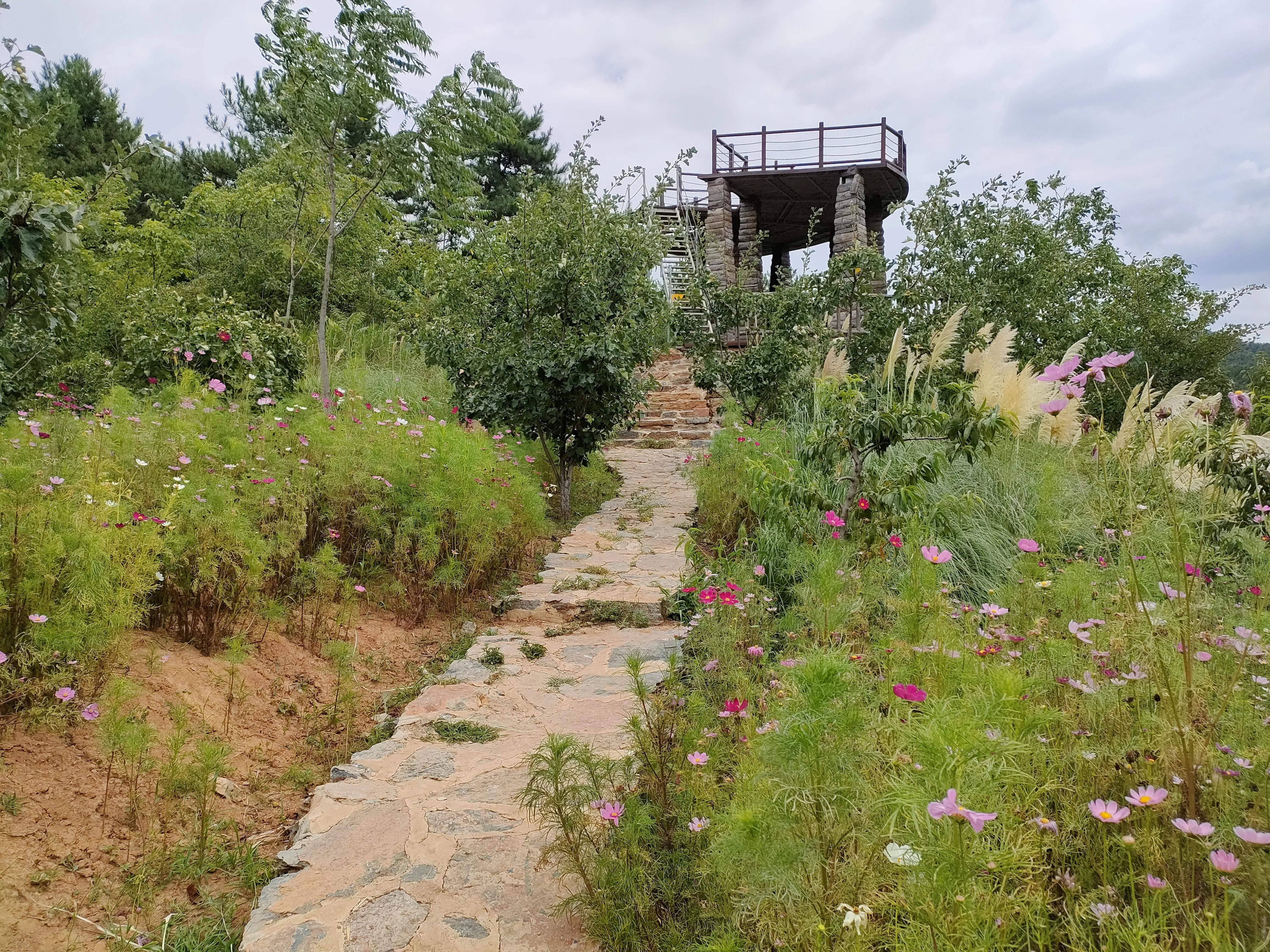 秦岭江山景区怎么样,秦岭江山景区最新通知