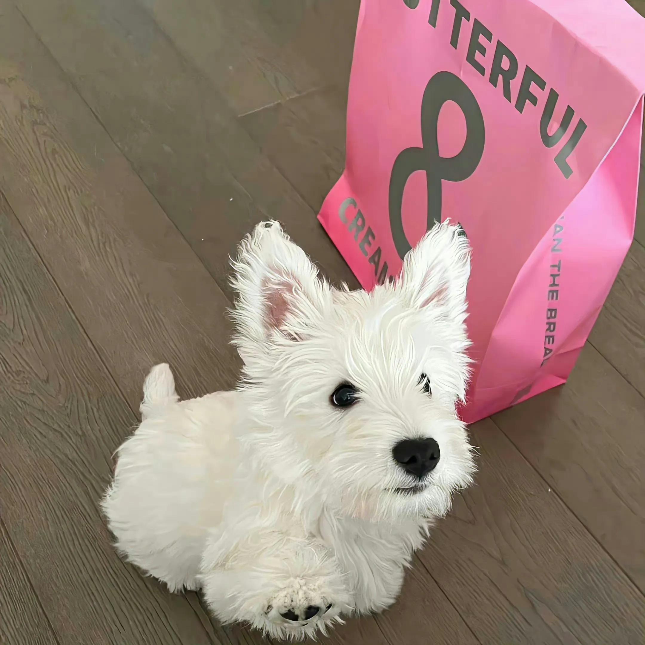 唯有热爱可抵万难背景图,朋友圈背景图爱迎万难