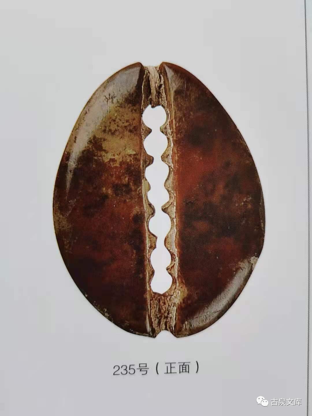 天然贝币真品价格,原始贝币发展史