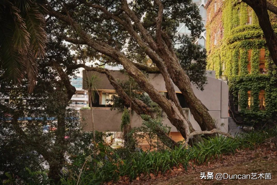 CheshireArchitects不拘泥于固定的风格！