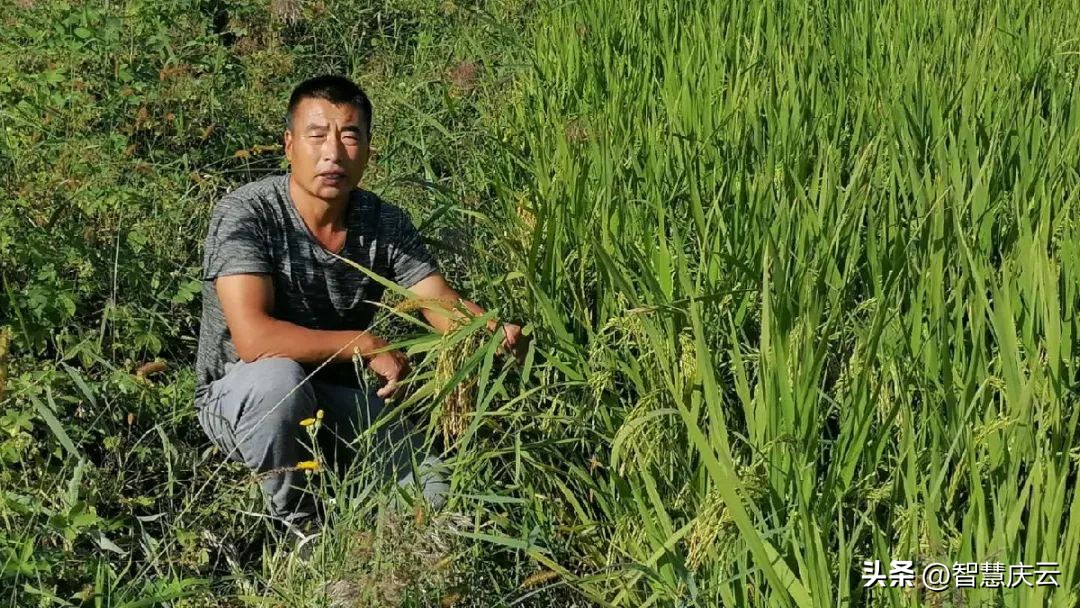 庆云县尚堂镇致富能手宗兴林：扎根乡土领路群众致富