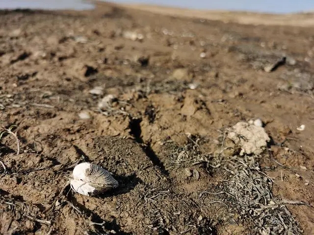 鄱阳湖水位大涨，16米或快了！20年大变，如何才能避免再次干枯？