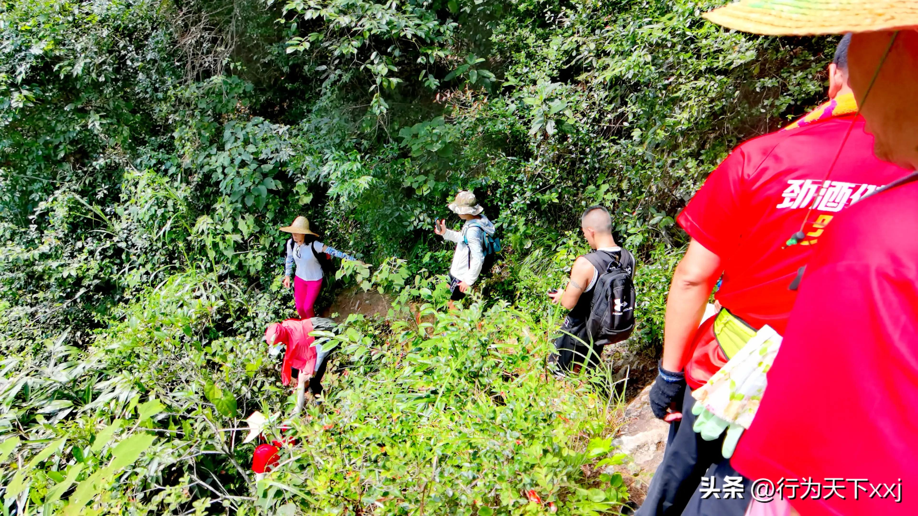 避暑天堂惹人醉完整版,避暑胜地康养天堂