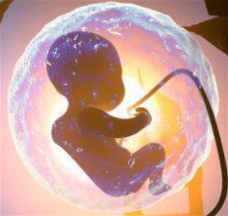 2015年43岁母亲将子宫移植给女儿,26岁女儿移植子宫生二胎