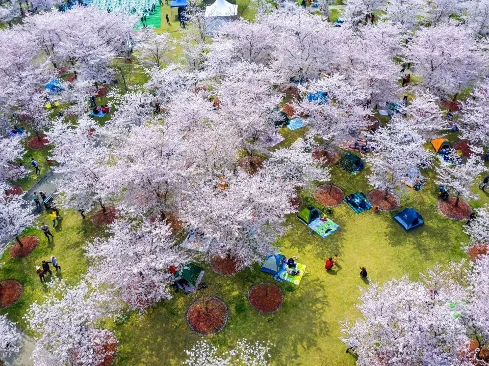 上海地铁直达的公园,上海最美公园地铁站