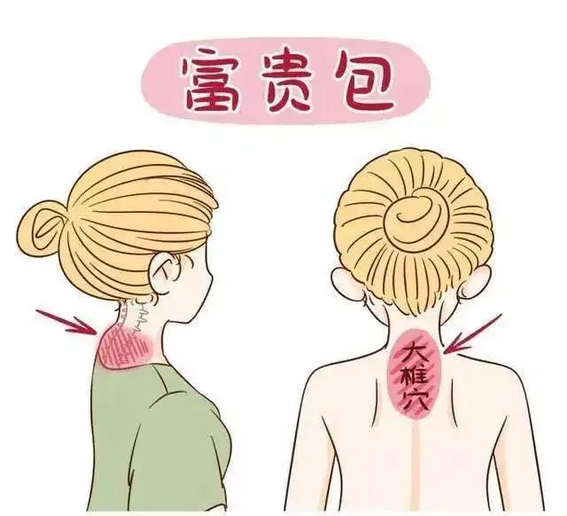 背越练越薄的动作,练背的9个经典动作