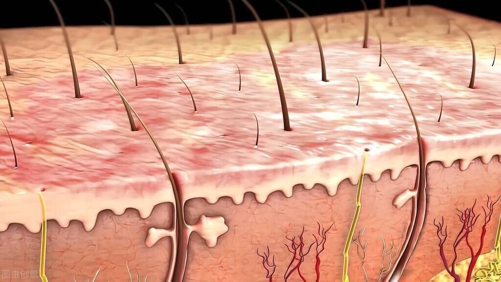 中医外治法的特点优势,中医外治法整体调理人体经络
