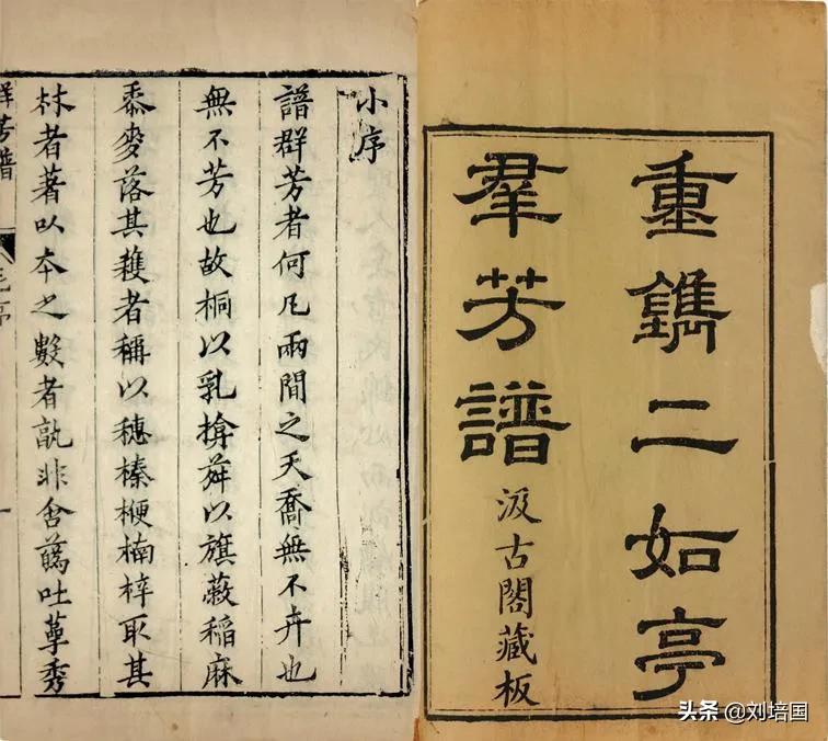 中国植物学的三大奠基人,中国植物学发展历程