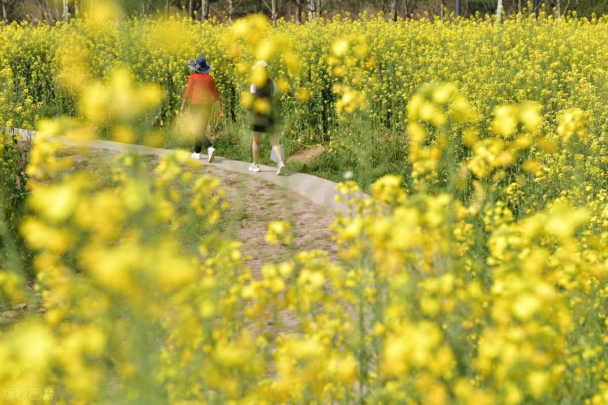 回头看你的时候的感悟,回头看工作