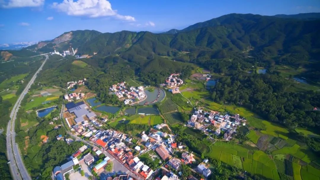 惠州市怡情谷温泉假日酒店图片,惠州横沥怡情谷温泉酒店