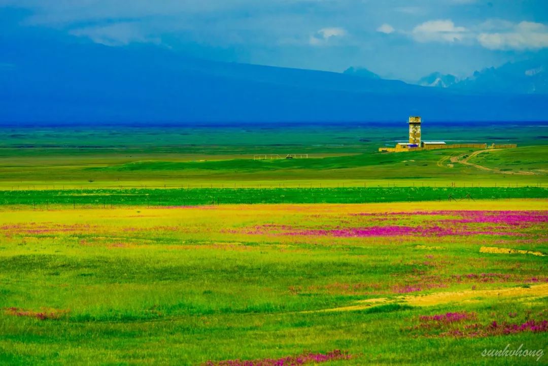 南疆的美又是另一种别样风情,北疆的风景南疆的风情
