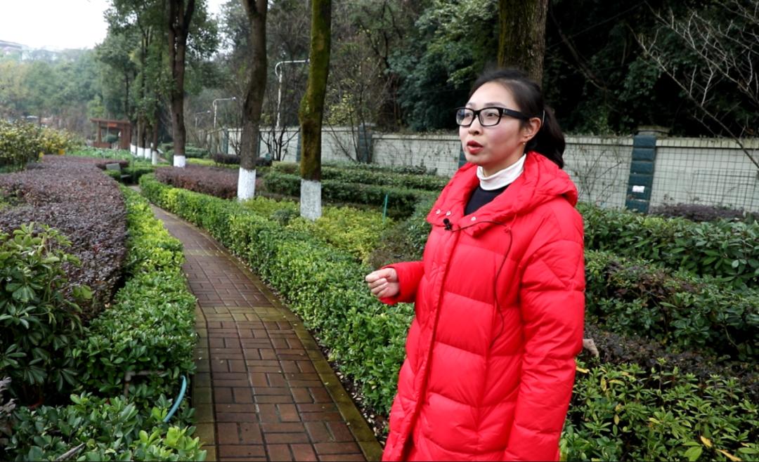 花溪区第一小学地址,花溪区第一小学学区