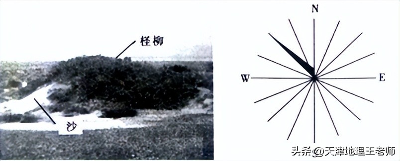 河北衡水中学上学期高三试卷地理,衡水中学地理五调试卷及答案