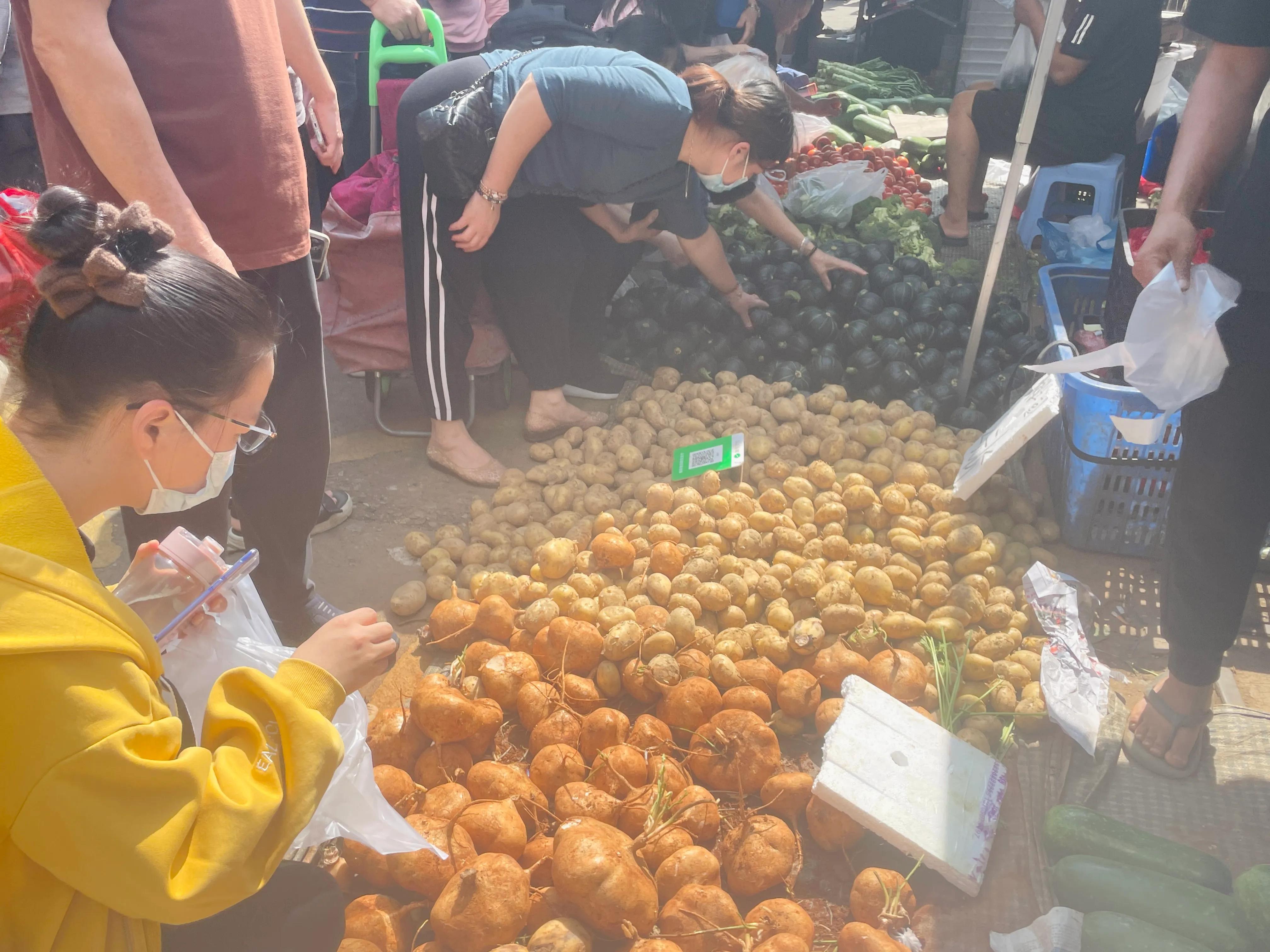 顺德三洲市场蔬菜,顺德伦教三洲市场圩日