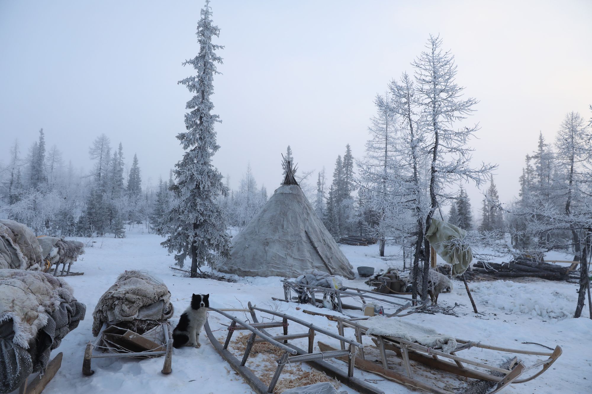 西伯利亚内陆有多可怕,西伯利亚有多少面积无人区