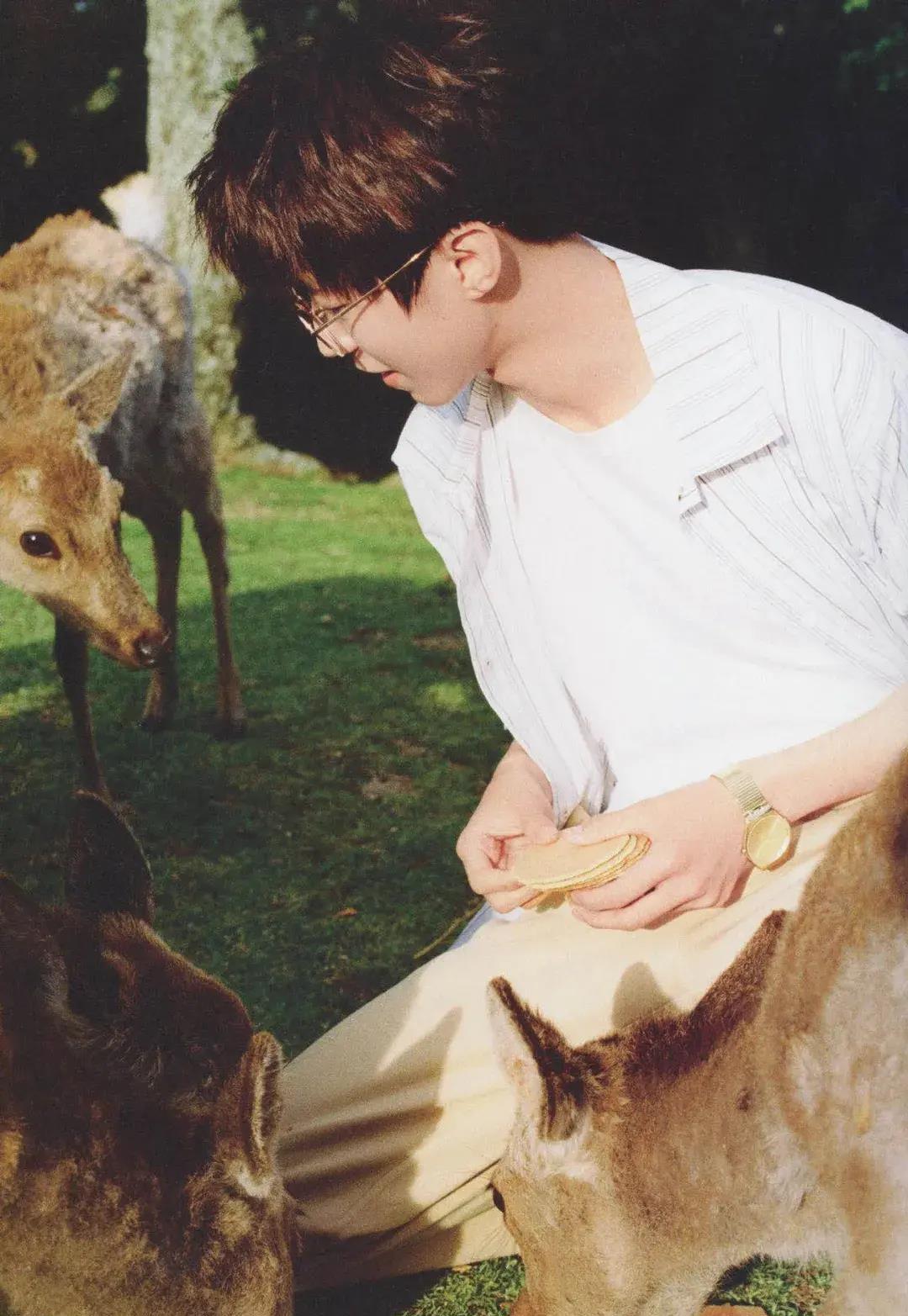 校草脸男星图鉴,男校草图片帅气