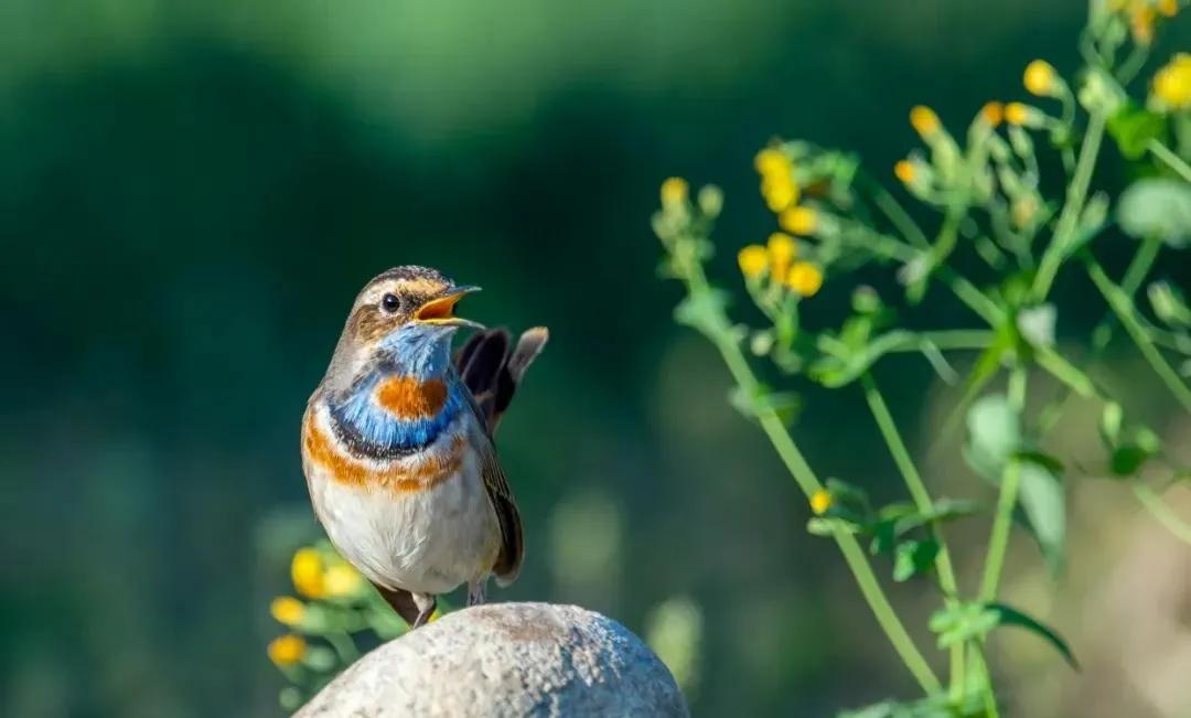脸上出汗是什么原因呢,脸上流汗是凉的是怎么回事