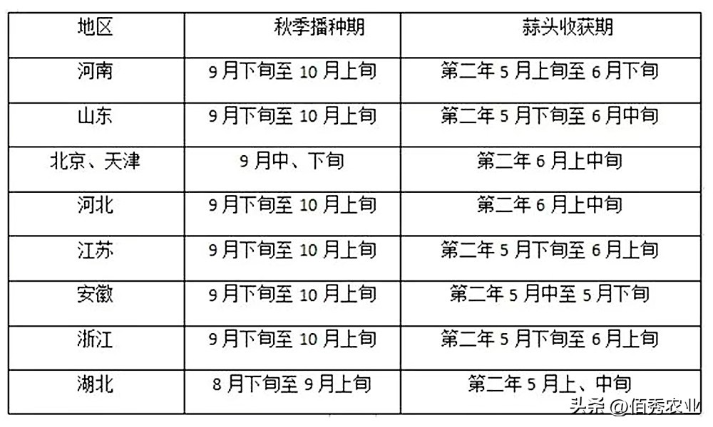 大蒜除草药早上打好还是下午打好,大蒜播种后出芽能喷施除草剂吗