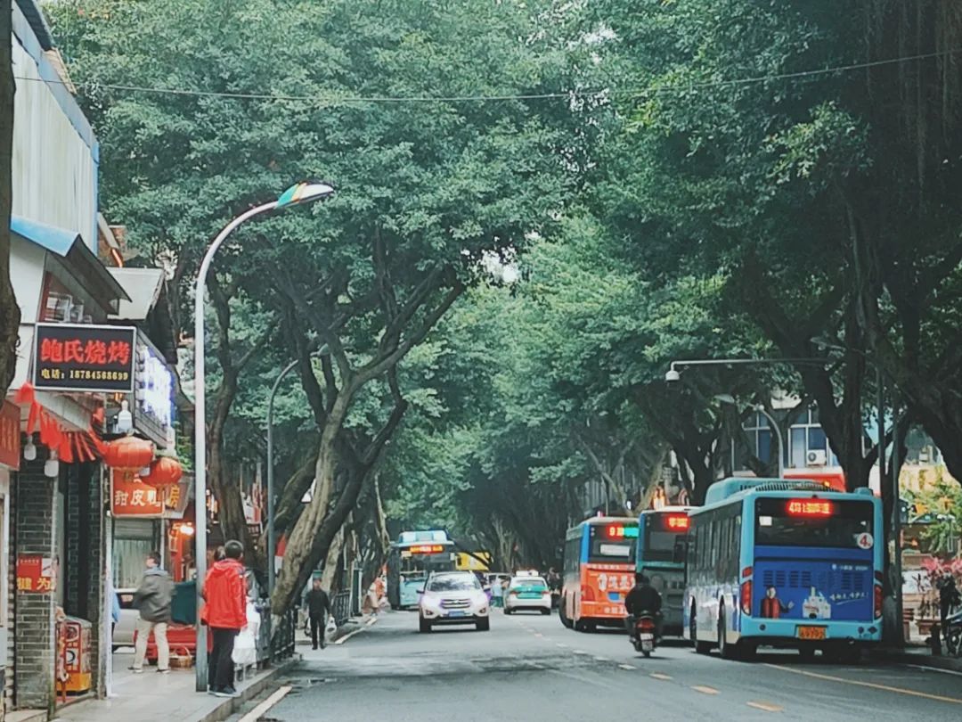 乐山特种兵周末游,乐山三日游最佳攻略图