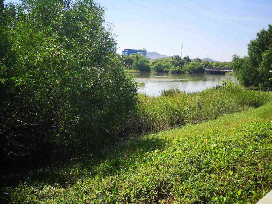 你喜欢夏天吗是什么梗,你喜欢夏天吗