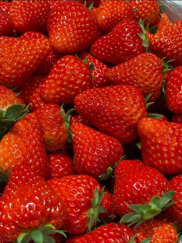 甘肃这边的水果,甘肃的水果少吗