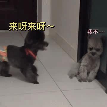 盘点2021年网络上最火的梗,2021最火流行梗大盘点