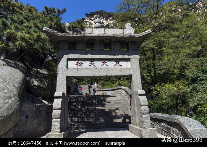 「战友美文」于天松：《泰山松》（诗）