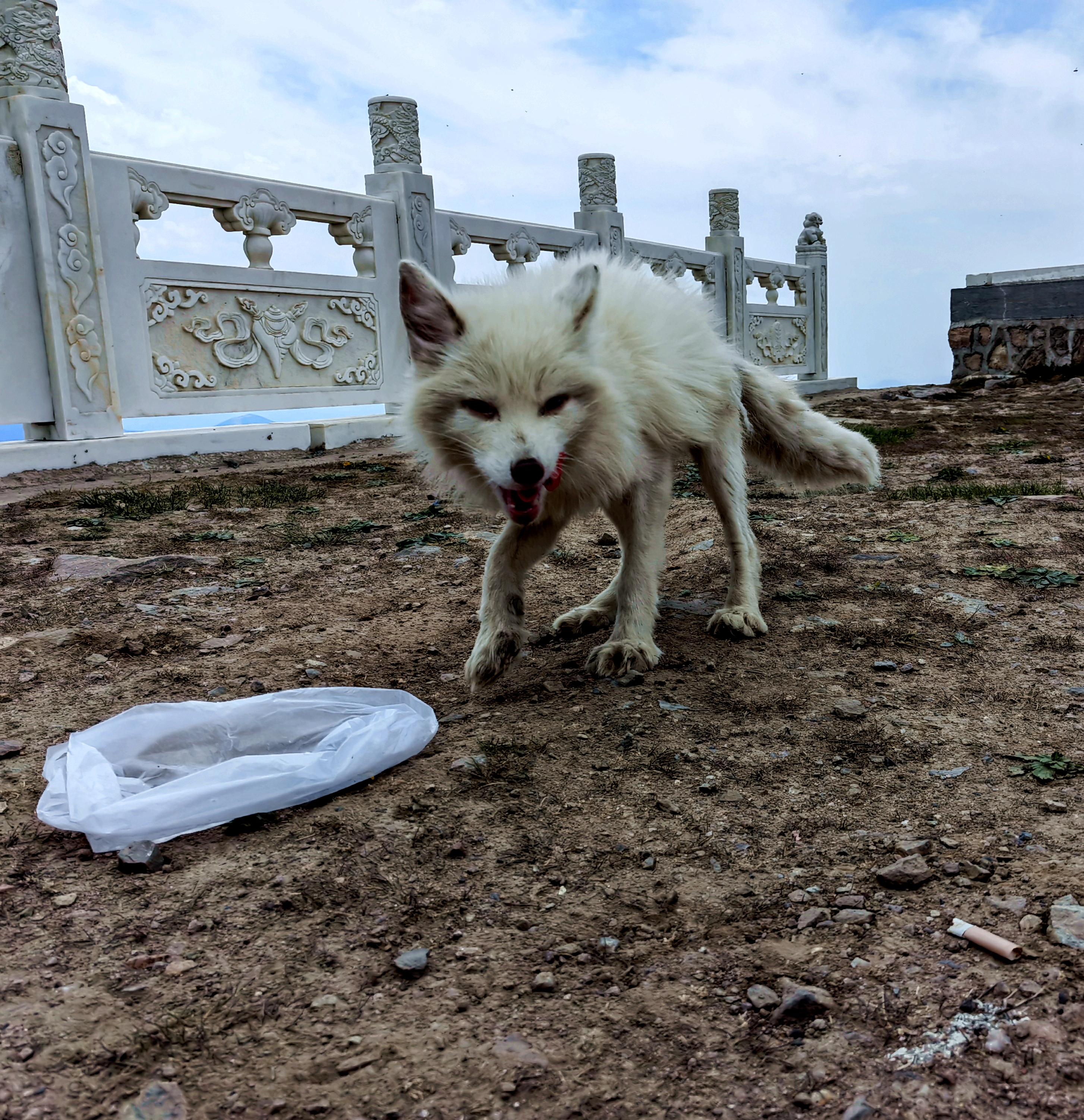 端午节五台山三日大五朝台第二天（西台-中台-插旗台-澡浴池）