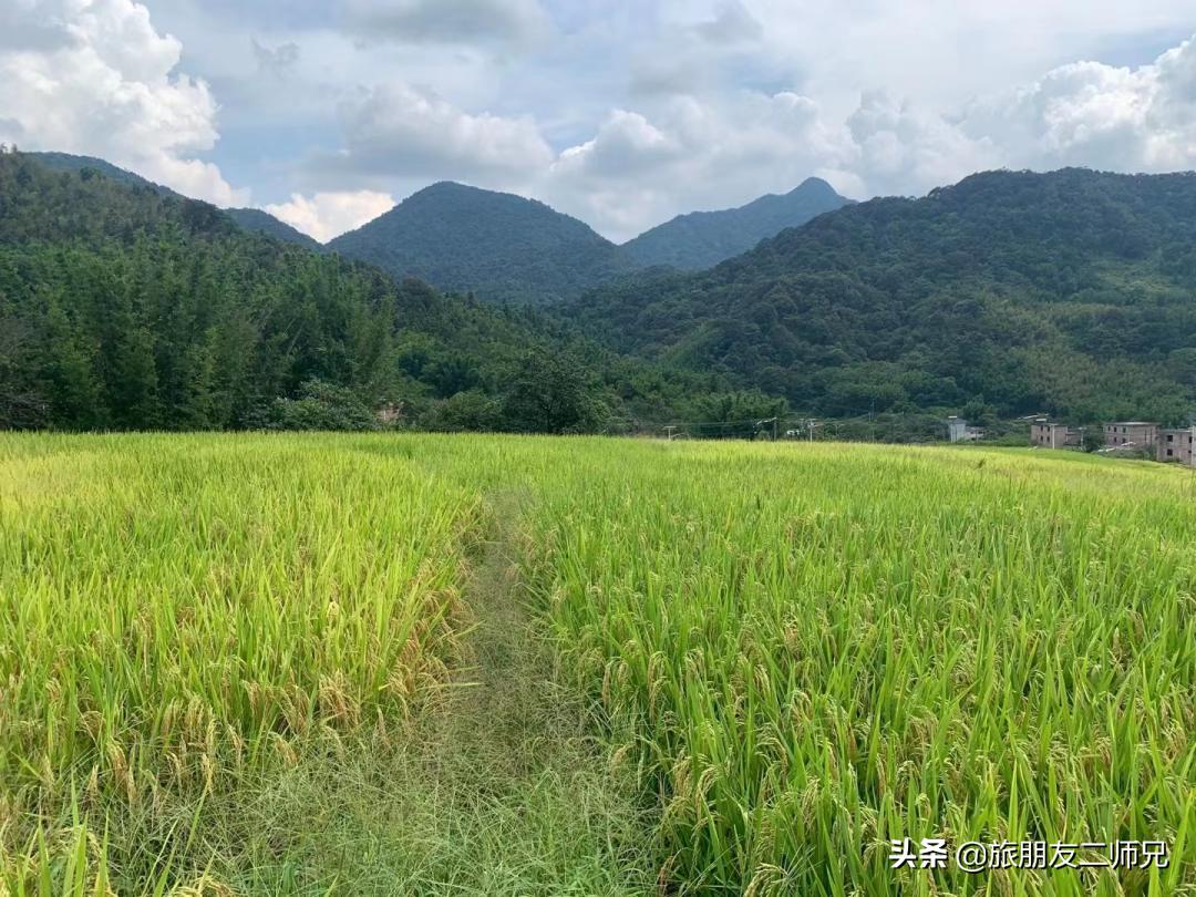从化吕田一日游必去景点,从化溪头村自驾徒步攻略