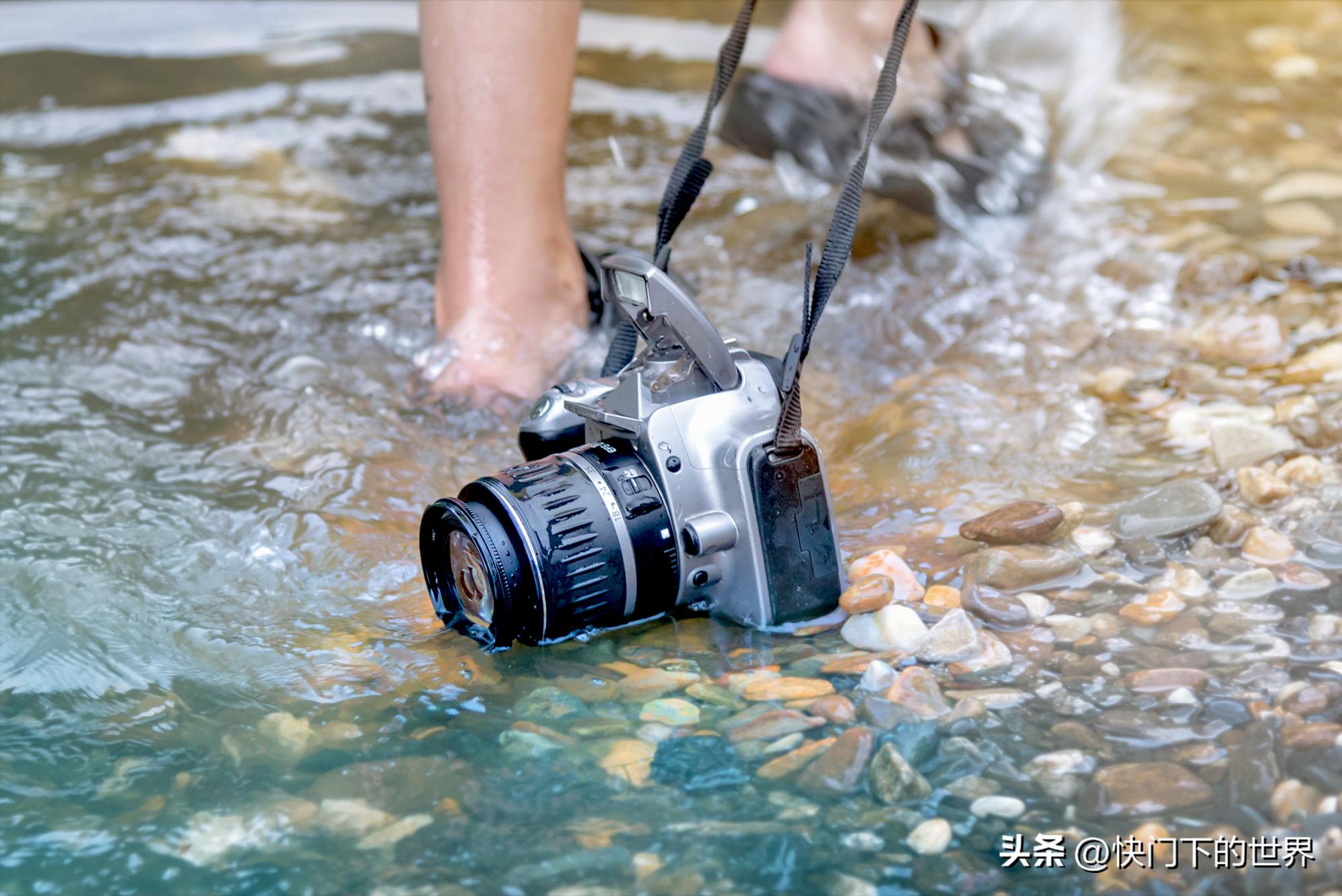 佳能尼康索尼2470F4镜头对比,佳能红圈和索尼镜头哪个好