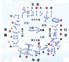 十二生肖从大到小排序,十二生肖排序动画视频