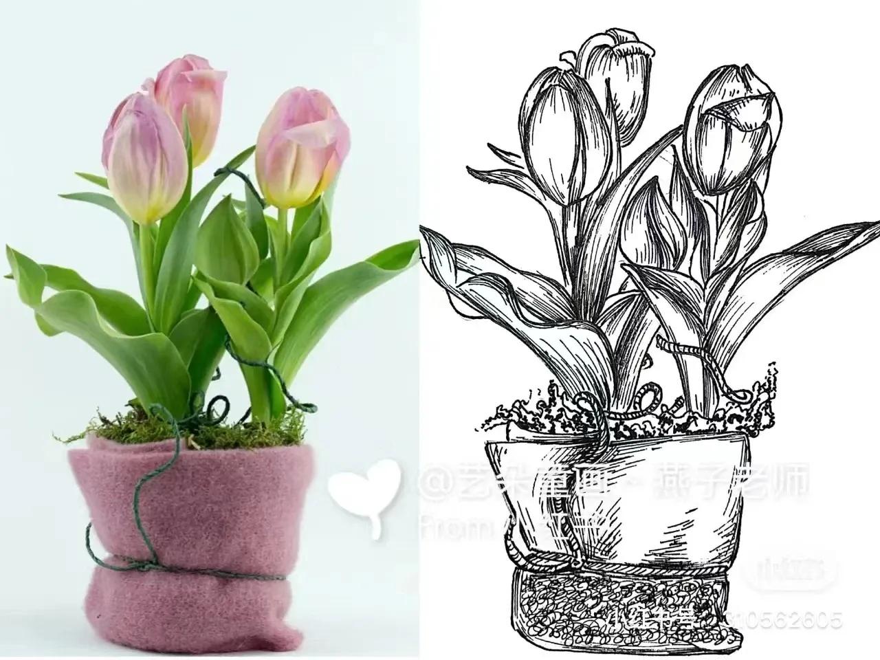 鍒涙剰缇庢湳鍥剧墖绱犳潗,鍒涙剰缇庢湳绱犳潗