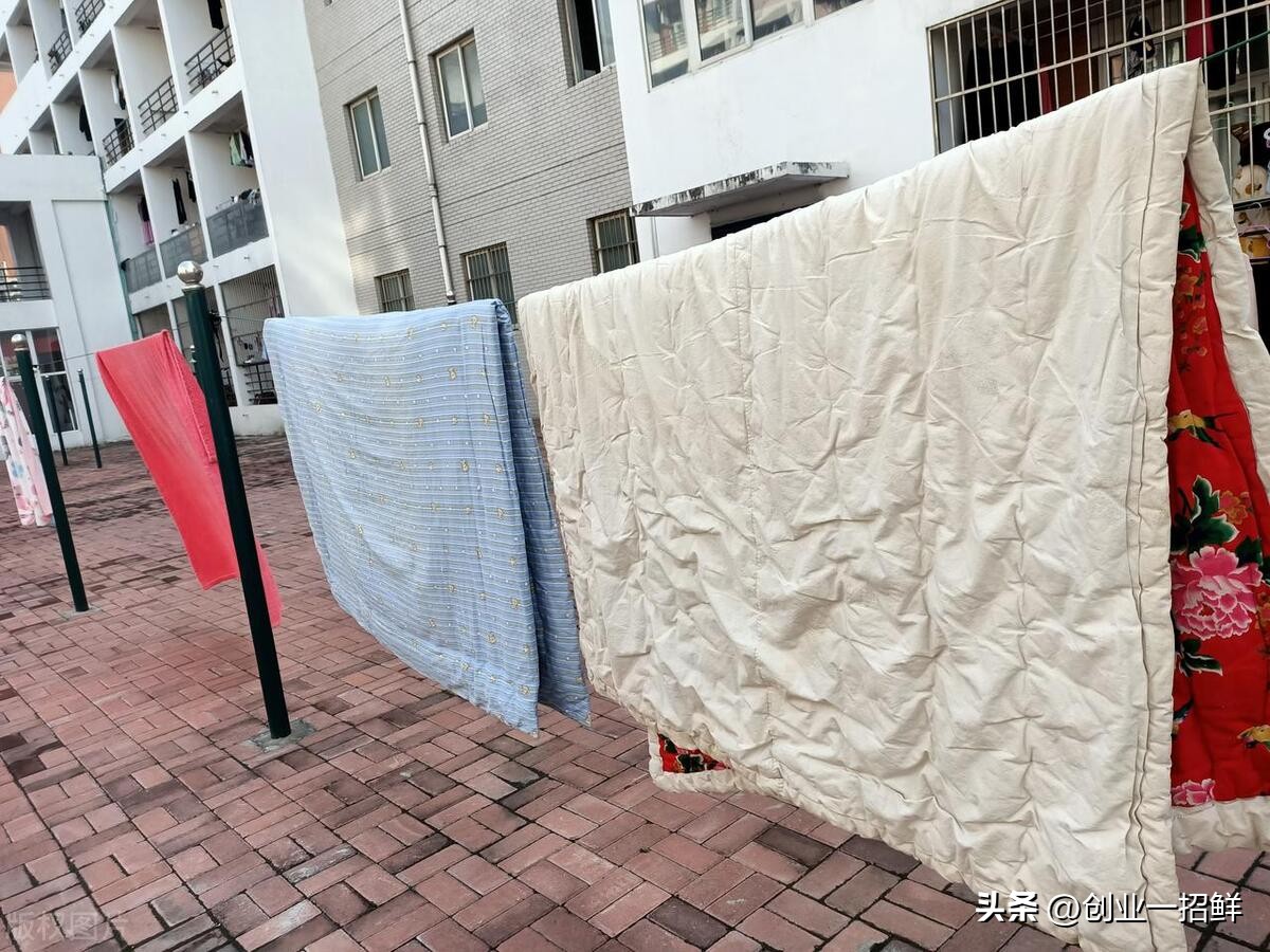 创业项目办小型门窗加工厂,自己开了个门窗加工小作坊