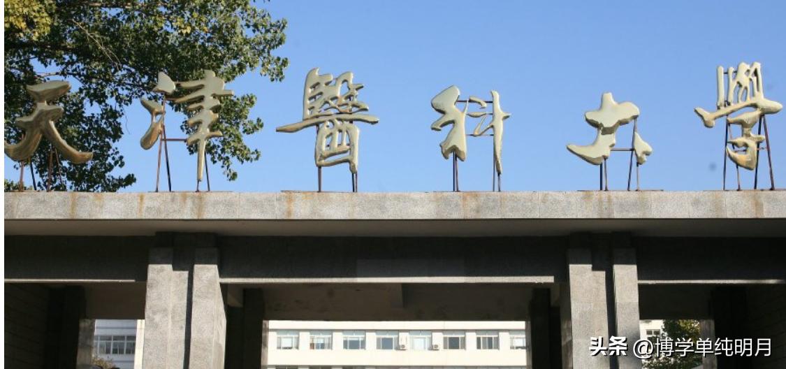 天津双一流高校毕业生引进政策,天津双一流人才引进