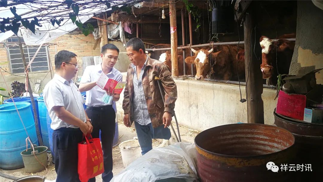 乡村振兴信用贷,信贷产品助力乡村振兴工作