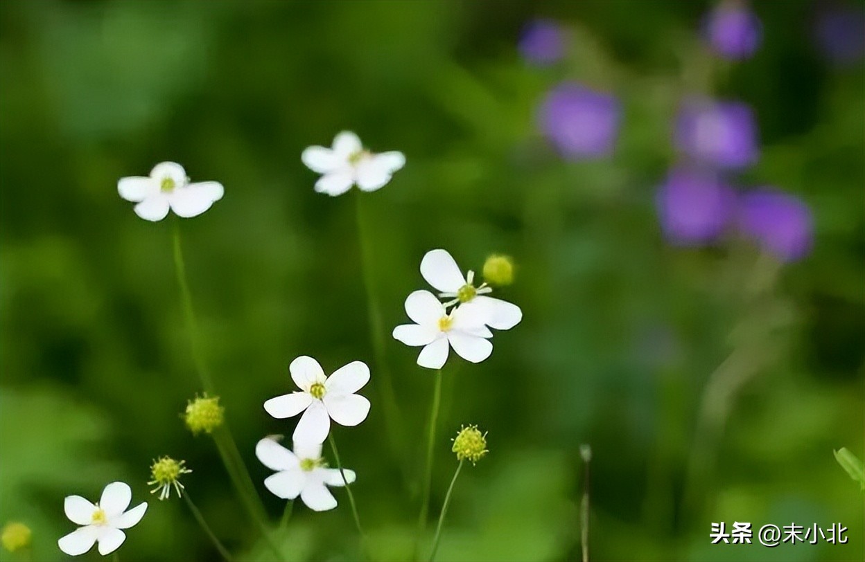 孤僻不愿意交流的人,一个人不想跟人说话是什么情况