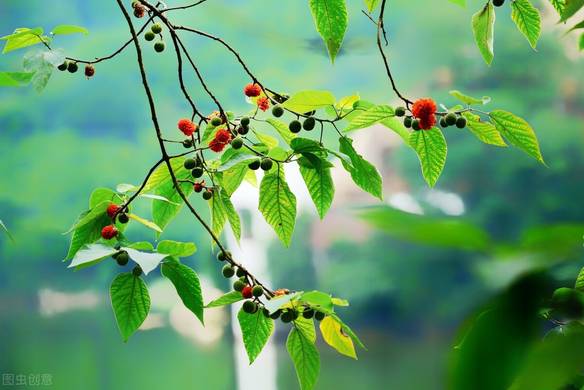 时光若温柔愿你淡淡欢喜出处,时光若温柔愿你淡淡喜欢什么意思