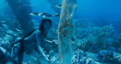 时长超3小时阿凡达2值不值得看 (阿凡达二观看注意事项)