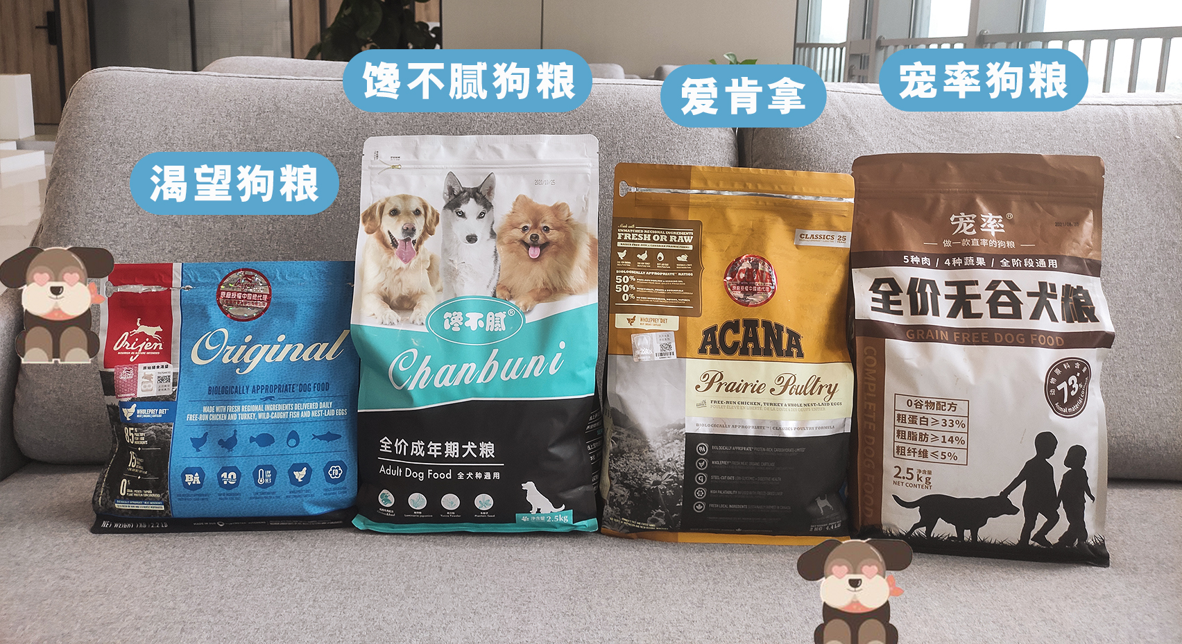 比熊犬容易得的病,比熊犬容易得五种病