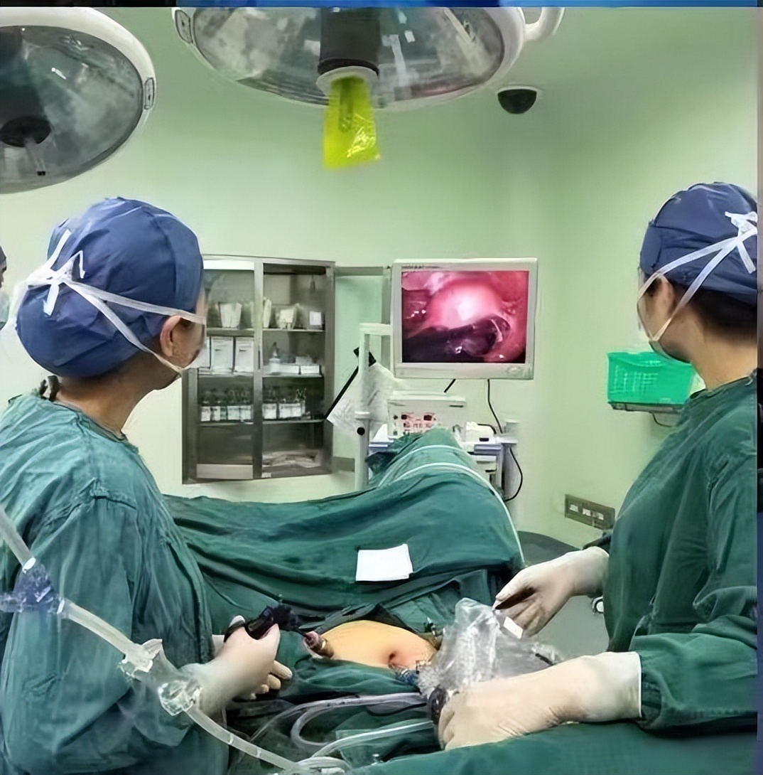 瀵绘壘鍘嗗彶鏂囧寲浼犳壙,杩藉鍘嗗彶瓒宠抗浼犳壙绾㈣壊鍩哄洜