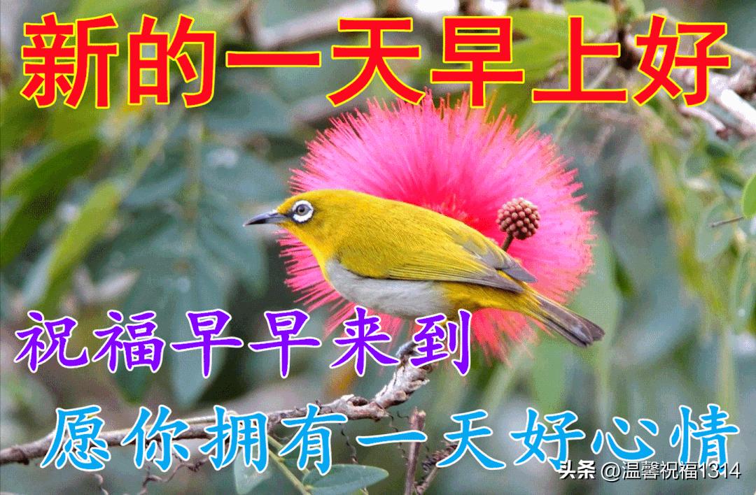 清晨问候早上好祝福动态图片,周六早上好动态图片早安心语