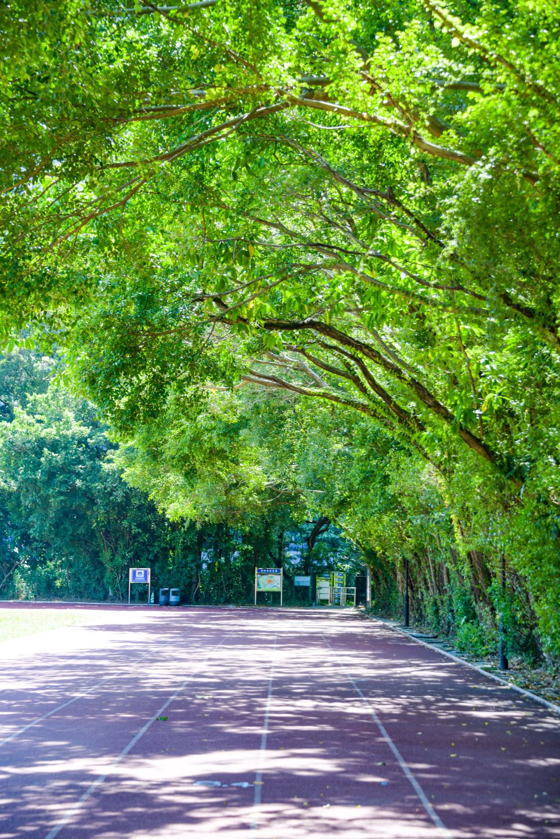 华侨城中学地下球馆,华侨城中学体育场