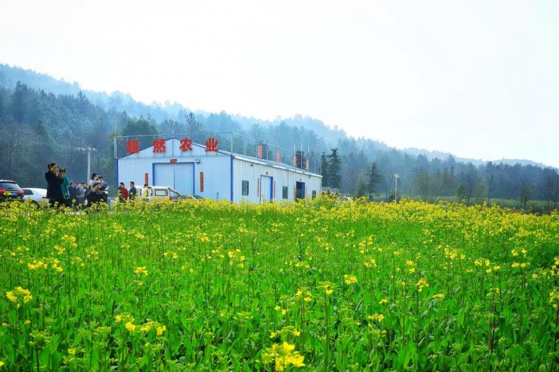 以青春之笔绘制乡村新画卷,以农为笔绘就乡村振兴新画卷