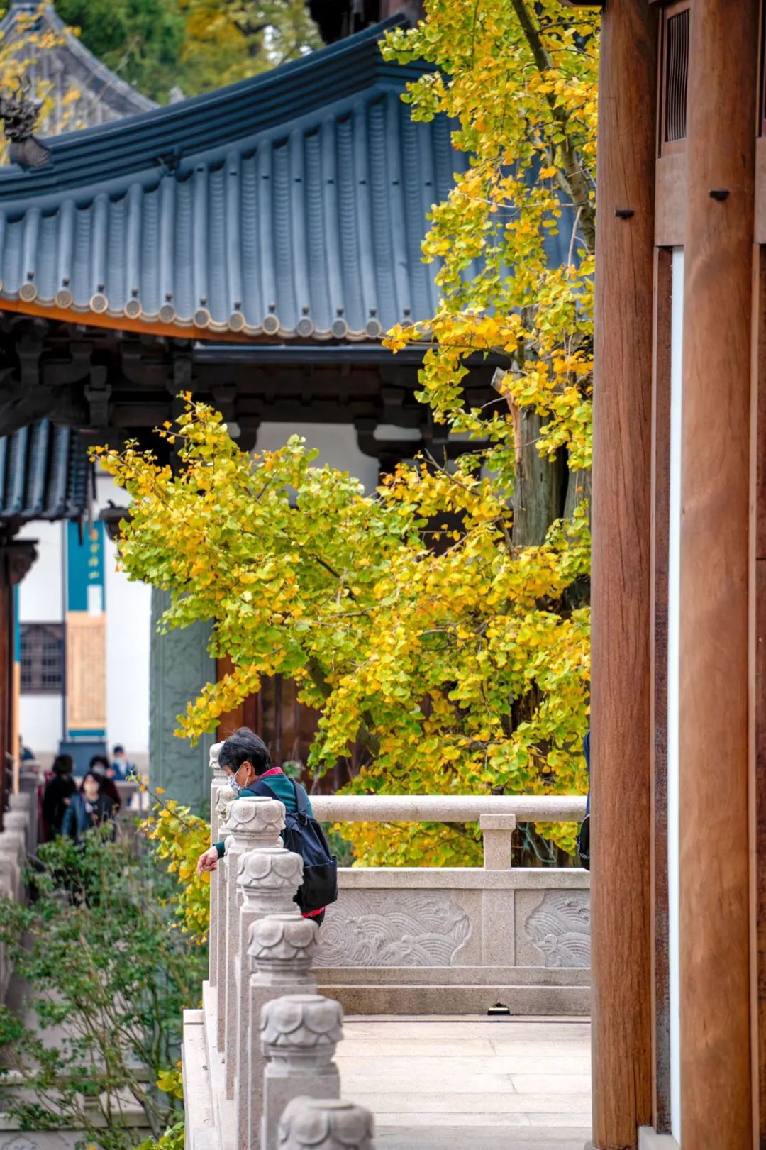 杭州秋日游攻略,杭州秋色上线这些赏秋地风景极佳