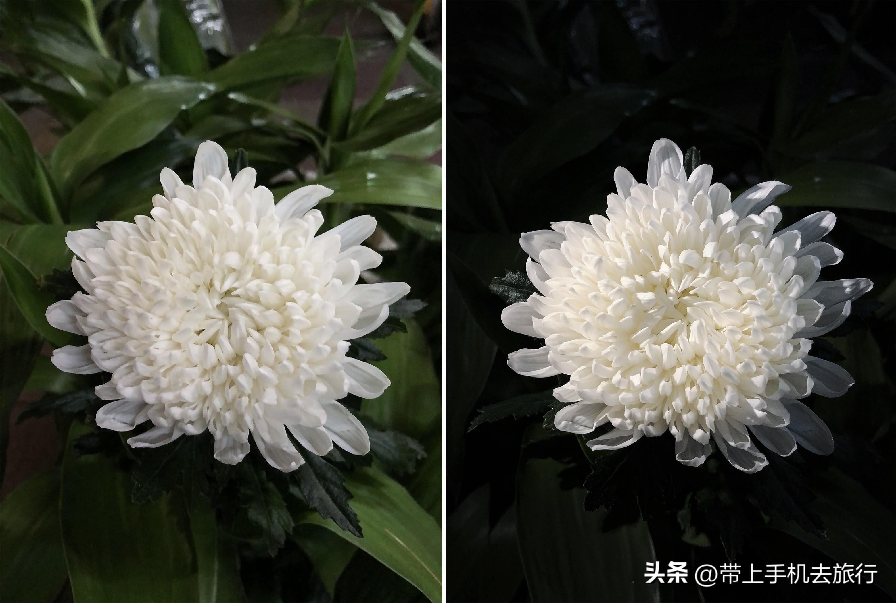 10分钟实用手机摄影知识,10分钟左右的手机摄影干货