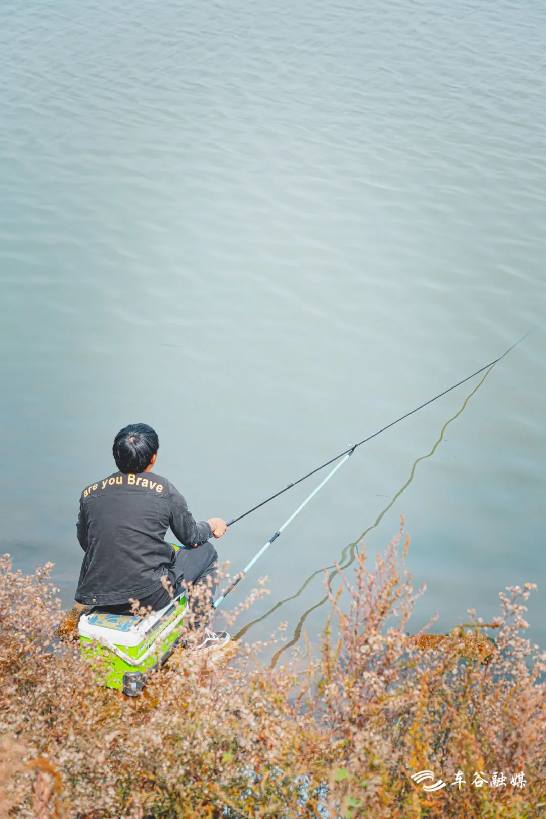 秋日暖阳骑行绿道,骑车绕城绿道值得打卡的推荐