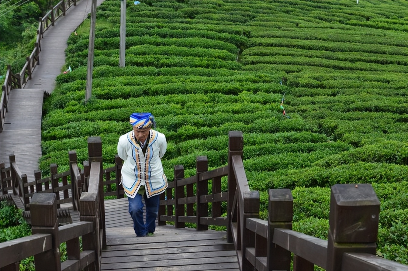 大城武汉,小城恩施——绿油油的伍家台